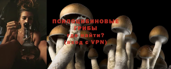 прущие крисы Абинск