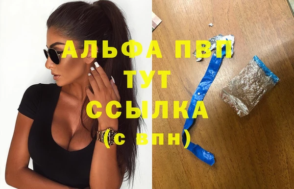 гашик Абаза