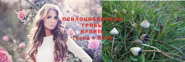 прущие крисы Абинск